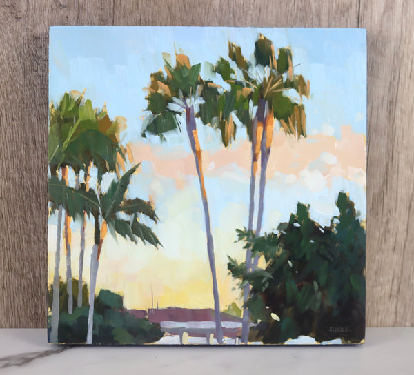 Mesa Palms - 8x8