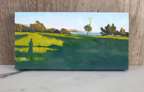Coal oil point ucsb original art painting 