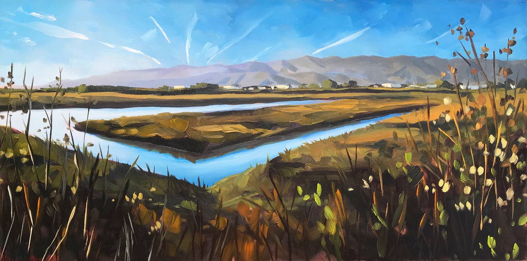 Salt Marsh, Carpinteria