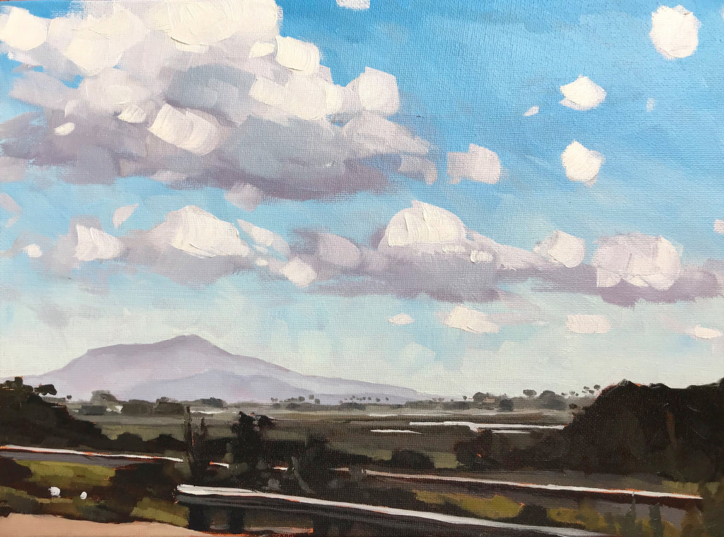 Salt Marsh and Rincon