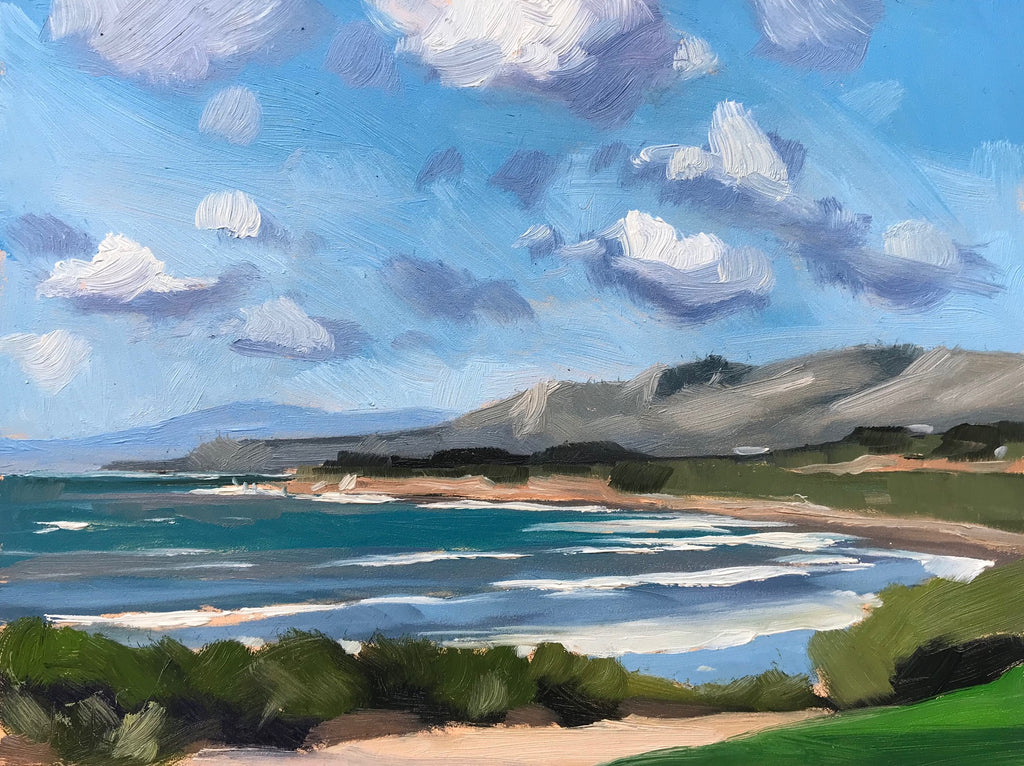 View from Rincon - 6x8