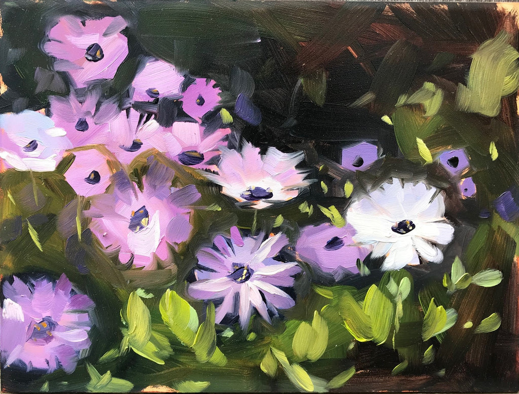 Backyard Daisies, Plein air oil painting