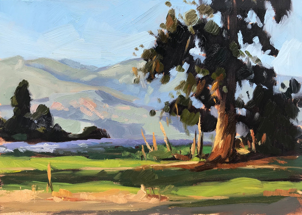 Carpinteria Bluffs, 5x7