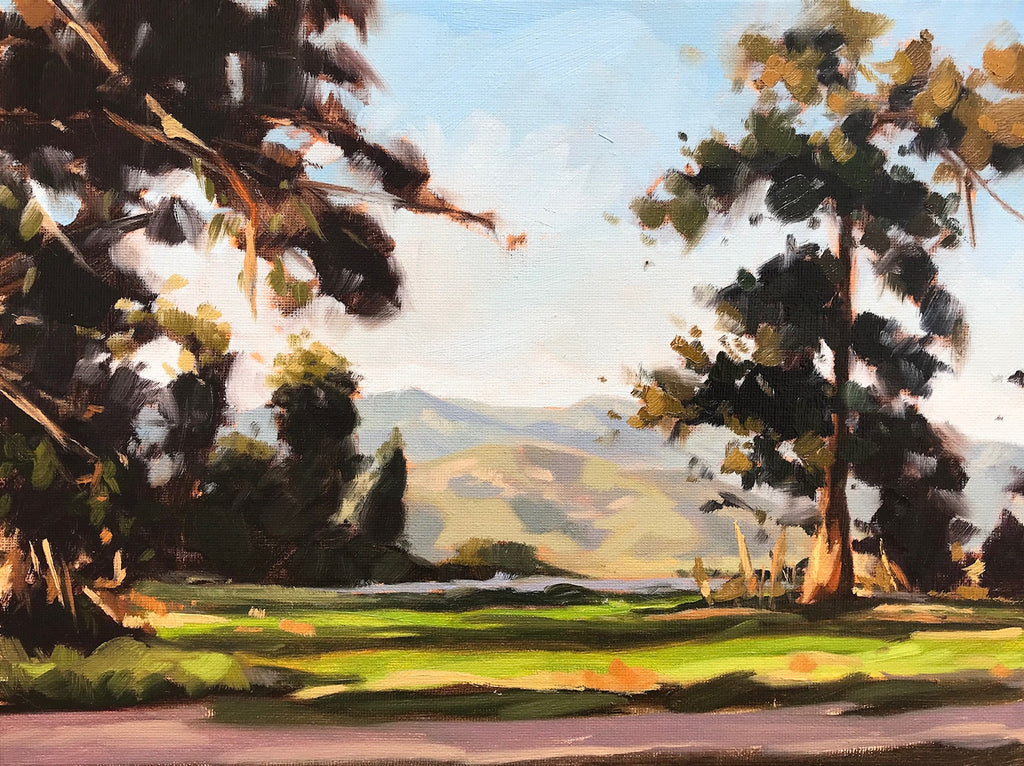 Sunlight on the Bluffs