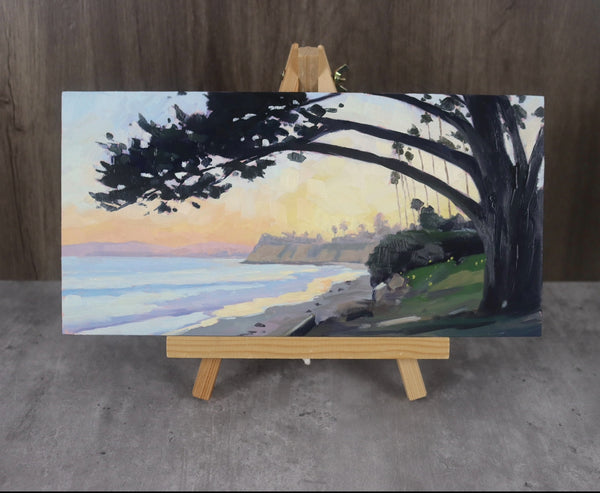 Butterfly Beach Glow - 6x12