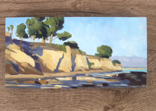 Afternoon at Shoreline, study - 4x8