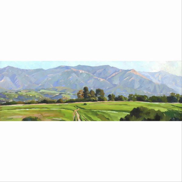 More Mesa Panorama - 10x30
