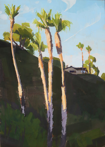 Hendry’s Palms