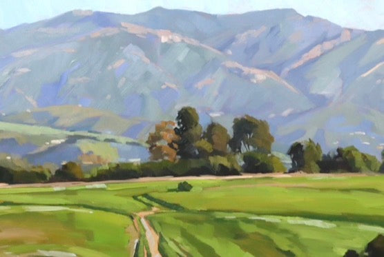 More Mesa Panorama - 10x30