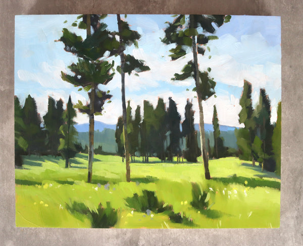 Morning on the Meadow - 8x10