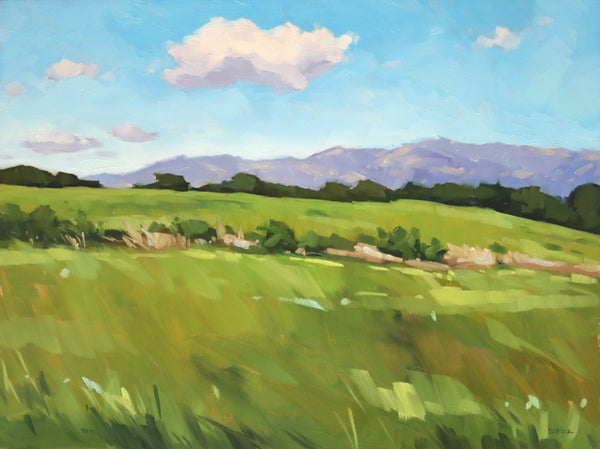 Fields and Foothills - 9x12