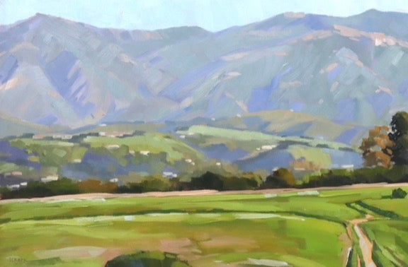 More Mesa Panorama - 10x30