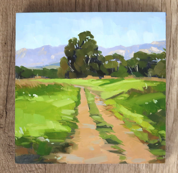 More Mesa Pathways - 8x8