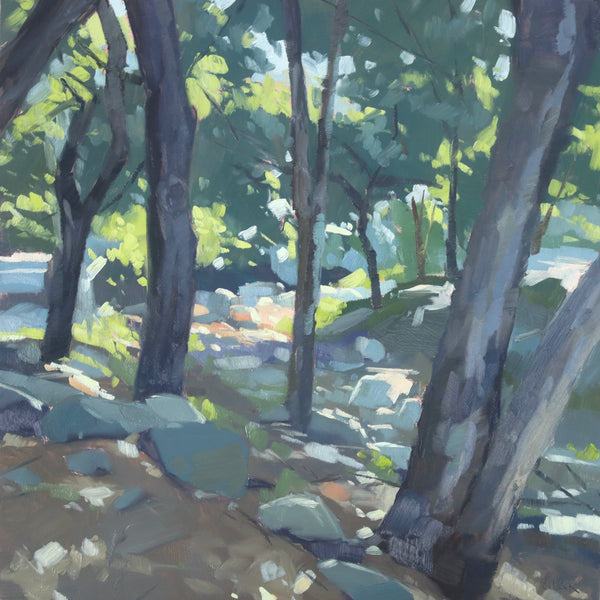 San Roque Creek - 8x8