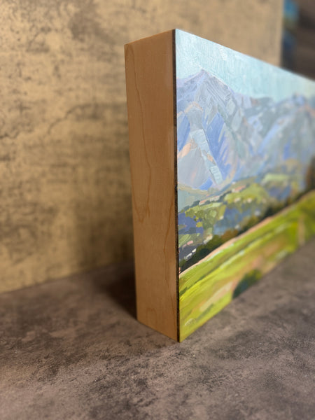 More Mesa Panorama - 10x30