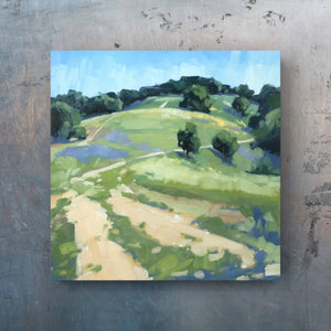 Ojai Hills - 10x10