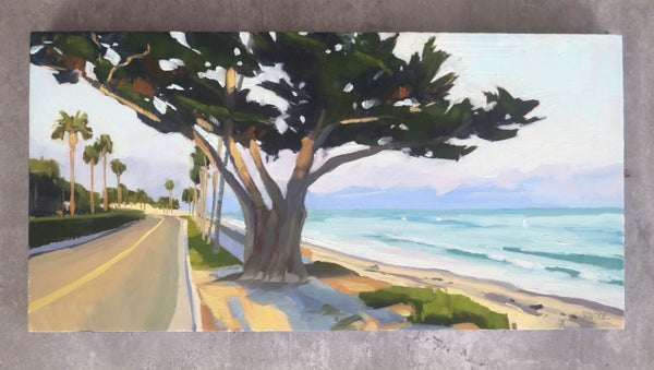 Butterfly Beach Pink Moment - 6x12