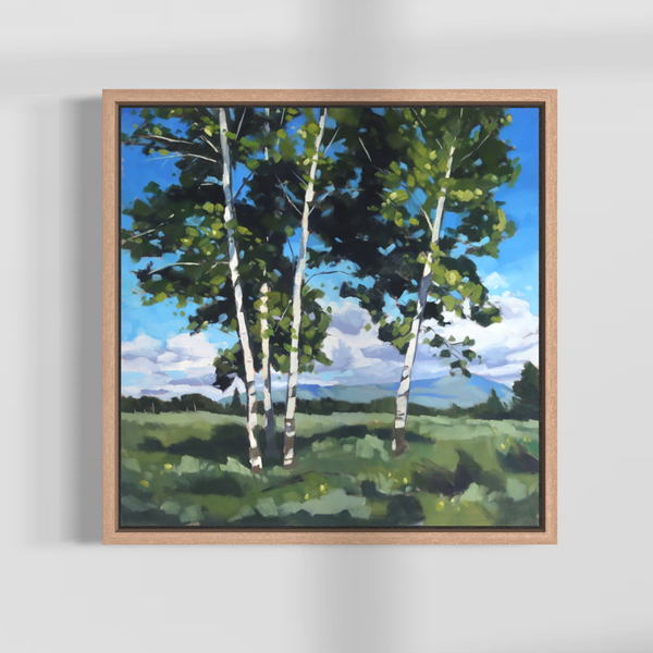 Summer Aspens - 16x16