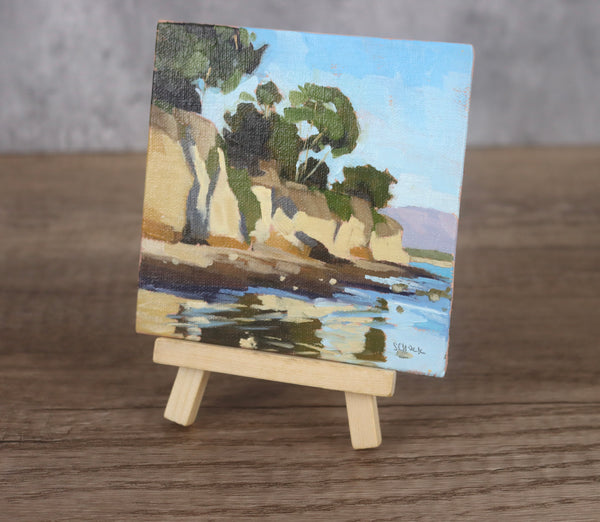 Mini Painting #4 Leadbetter Cliffs