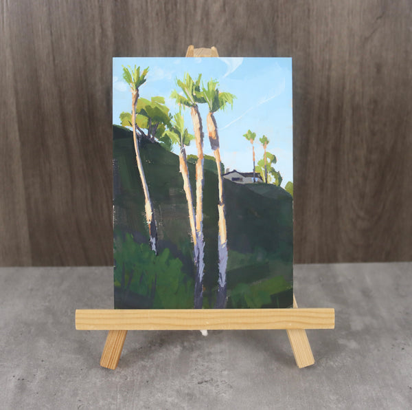 Hendry’s Palms