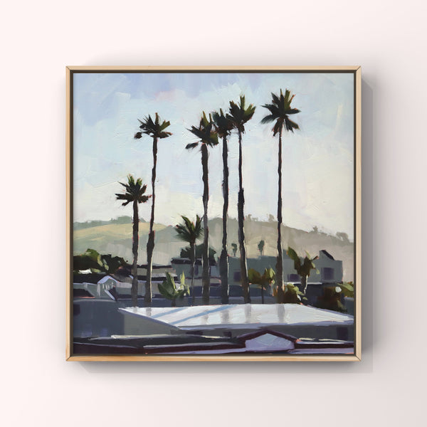 Pismo Palms - 8x8
