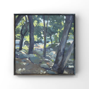 San Roque Creek - 8x8