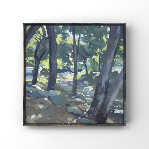 San Roque Creek - 8x8