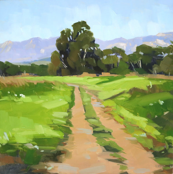 More Mesa Pathways - 8x8