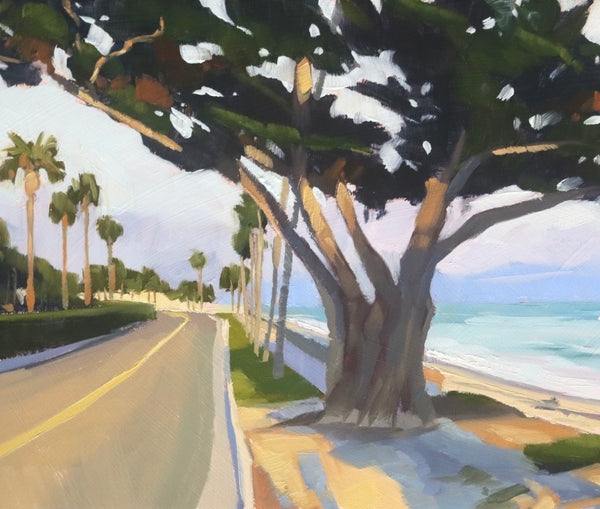 Butterfly Beach Pink Moment - 6x12