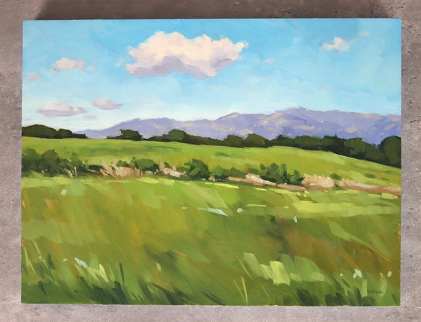 Fields and Foothills - 9x12