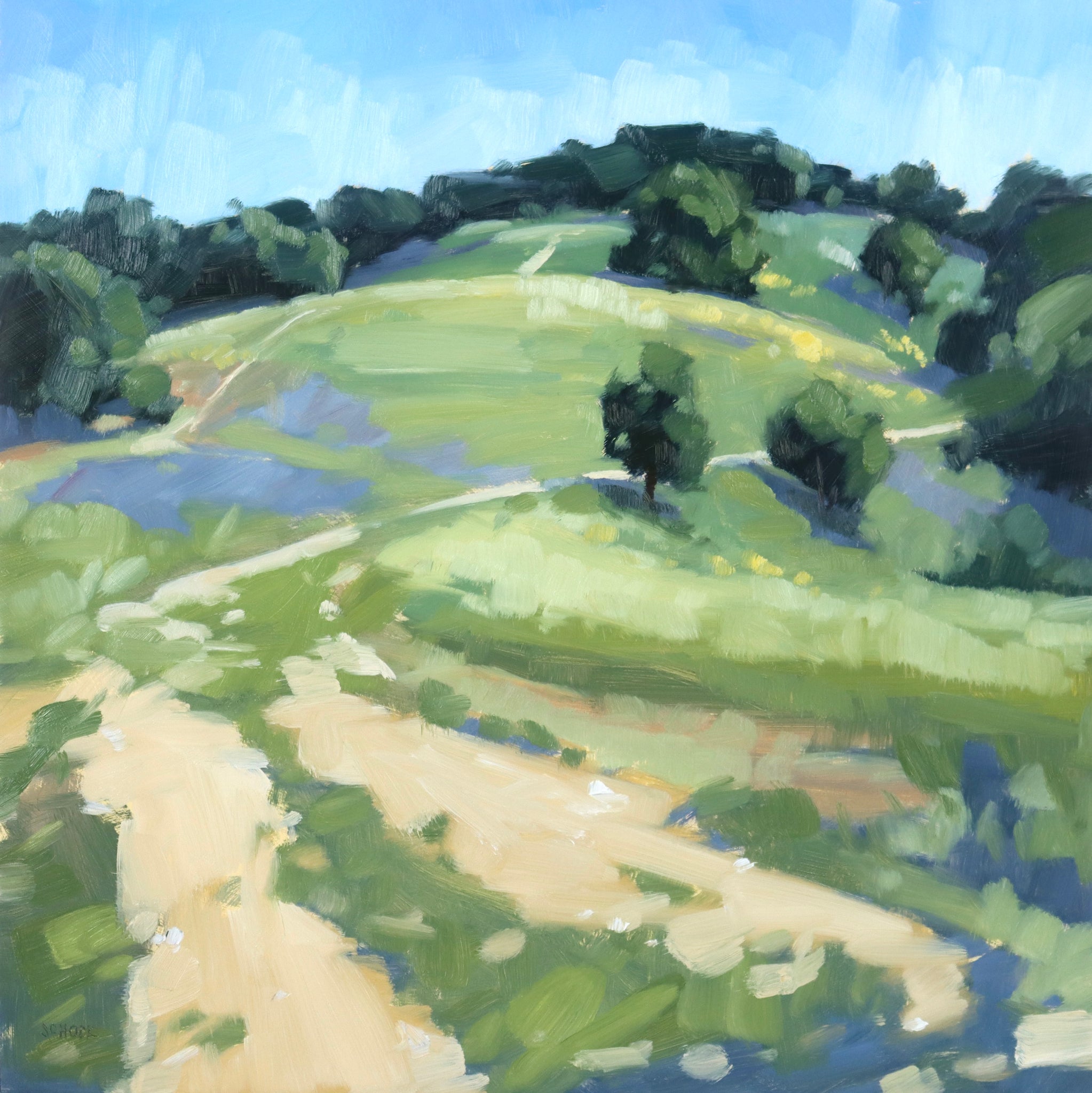 Ojai Hills - 10x10