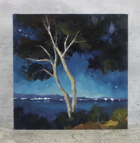 Moonlit Eucalyptus - 6x6