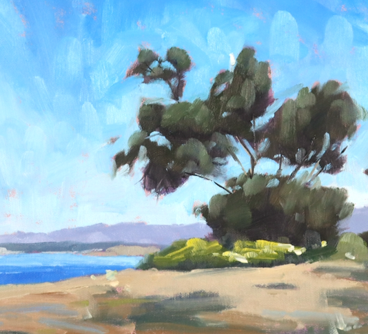 Blue Sky Santa Barbara - 8x16